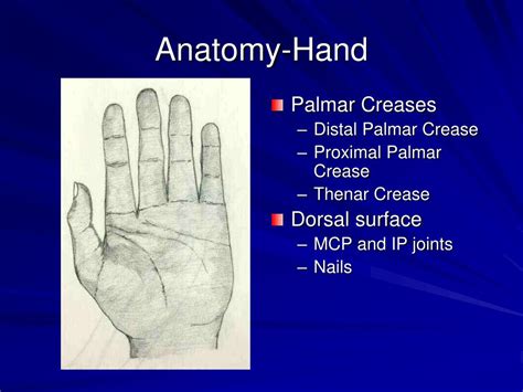 PPT - Examination of the Hand and Wrist PowerPoint Presentation, free