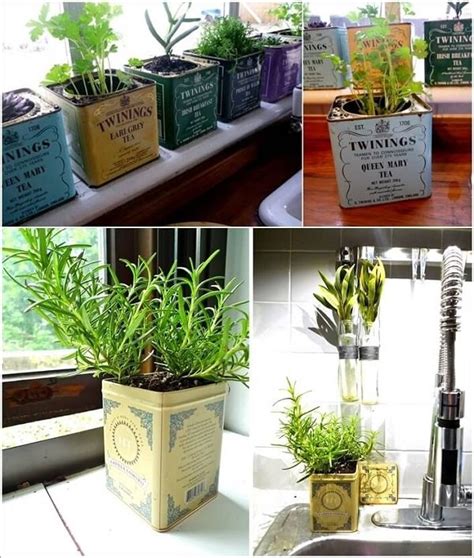 Stupendous Indoor Herb Gardens That You Can Easily Make On Your Own