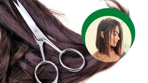 Cómo cortarse el cabello bob en casa Pasos para hacerlo tú misma