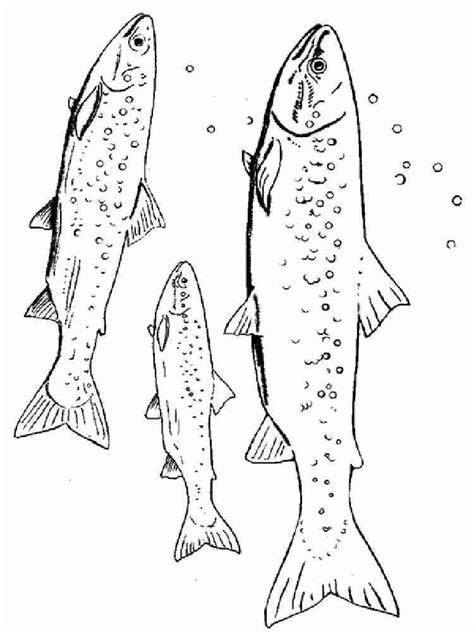 Salmon coloring pages
