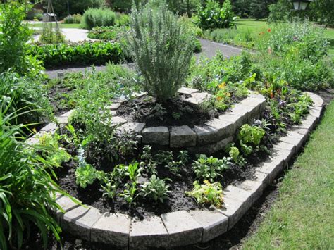 Rosemary, thymes in bloom, with. Ewa in the Garden: 10 Beautiful Ideas for Herb Garden