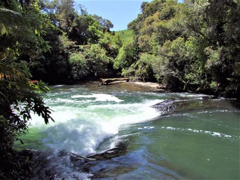 Okere Falls Walk Is A Free Walk In Rotorua Best Walk Details Here