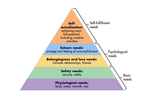 Mengenal Teori Maslow 5 Tingkat Kebutuhan Dasar Manusia Dan Contoh