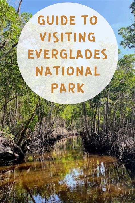 Everglades National Park Travel Guide Artofit