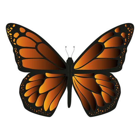 Monarch Butterfly Icon Butterfly Transparent Png And Svg Vector File