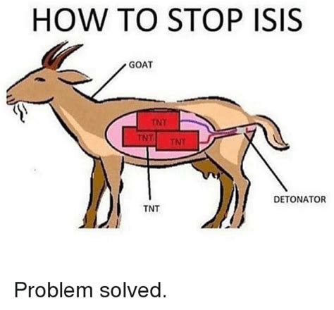 ? 25+ Best Memes About Problem Solved | Problem Solved Memes