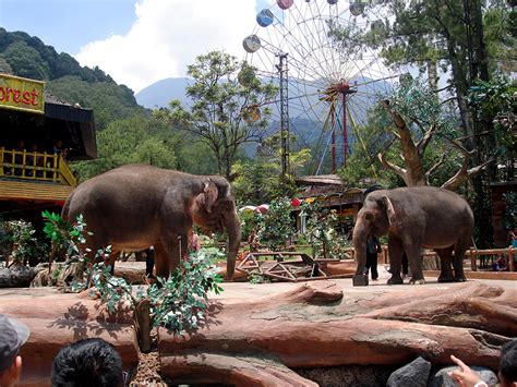 Wisata Edukasi Ke Taman Safari Bogor Bankjim