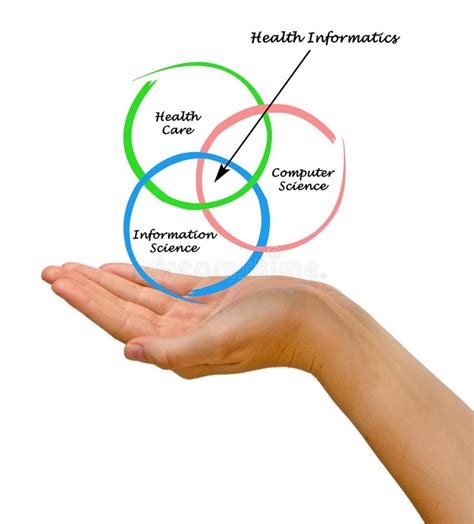Diagram Of Health Informatics Stock Image Image Of Palm Technology