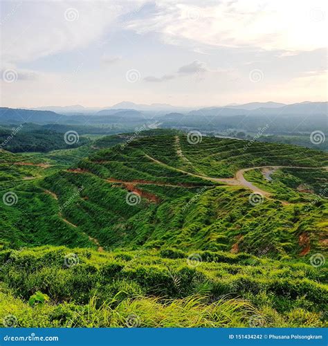 Scenic View Of Farmland On Hills Stock Photo Image Of View