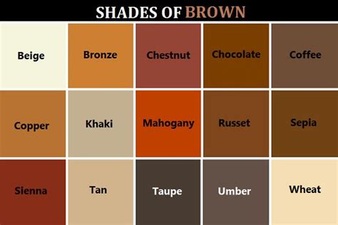 Shades Of Brown Post90618952551heres