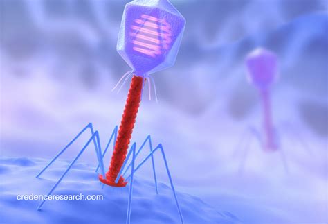 Breakthrough Bacteriophage Therapies Transforming The Fight Against