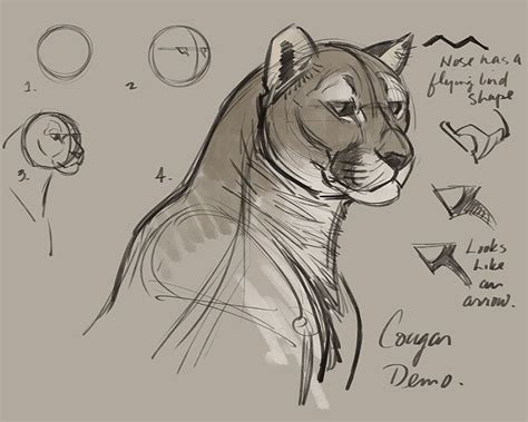In this tutorial, we will draw panthera tigris. How to Draw Animals Course - Big Cats - Animation Short Films