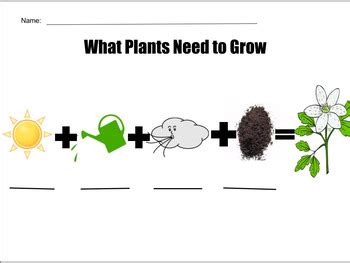 The proper type of indoor plant light is more than just if you water your plants on a schedule, you'll want to keep a closer eye on them. What Plants Need to Grow by Rebecca Sartorio | Teachers ...