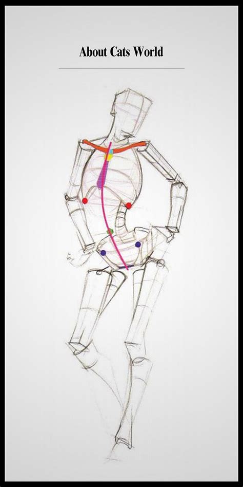 体构——脊椎与体块的关系（3） 人体结foxnosound采集到the Body Blueprint49图花瓣插画漫画