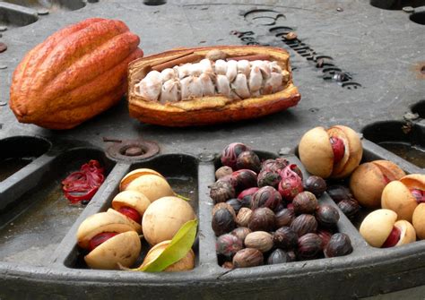 Nutmeg And Mace Spice In Photos