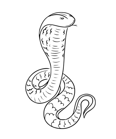 Linear Hand Drawn Cobra Icon With Tongue Sticking Out Vector Venomous