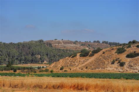 Valley Of Elah Biblewalks 500 Sites