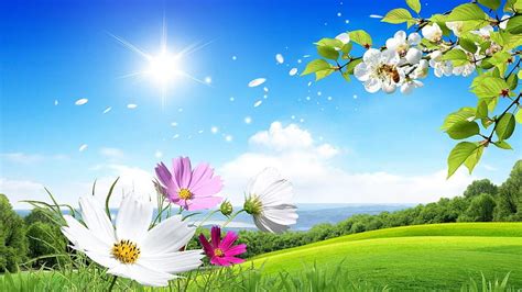 Flowers For Flower Lovers Flowers Natural Sceneries For Your