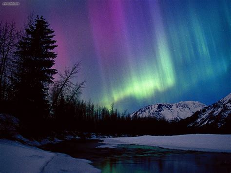 Nature Northern Lights Over Portage River Valley Alaska Picture Nr 21658
