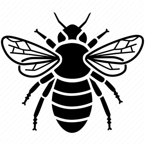 Bee Svg Honey Bee Svg Layered Bee Cut File Bee Outline Png Bumble