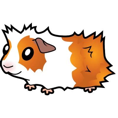 Best Guinea Pig Clip Art #8303 - Clipartion.com