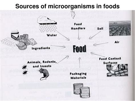 ppt sources of microorganisms in foods powerpoint presentation free download id 2479904