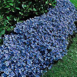 Check spelling or type a new query. Pin by Julie Donnell on GARDENING | Lawn and garden ...