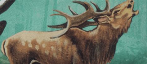Giant Elk 5e How They Work And Their Best Uses Creature College