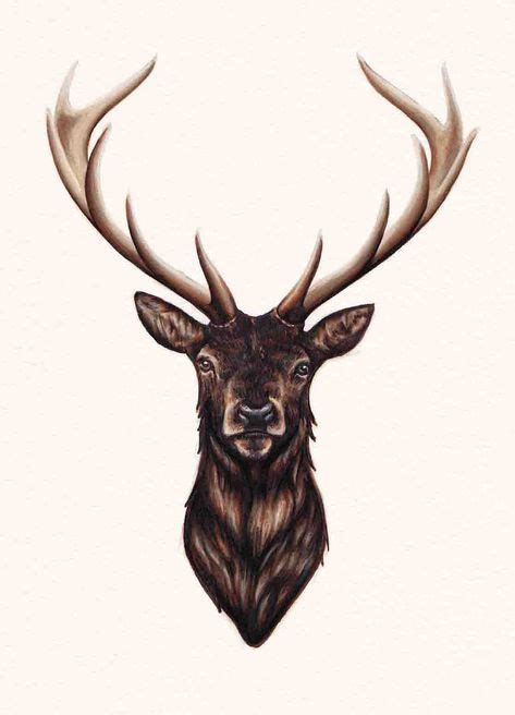 35 Stag Ideas Deer Stag Tattoo Deer Tattoo