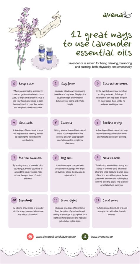 12 Great Ways To Use Lavender Essential Oils Lavender Essential Oils
