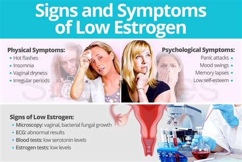 Similar to testosterone, estrogen also directs the reproductive functions in females and is. Signs and Symptoms of Low Estrogen | SheCares