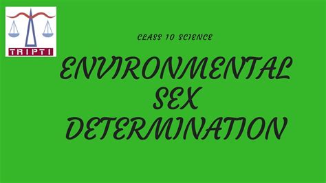 Environment Sex Determination Youtube