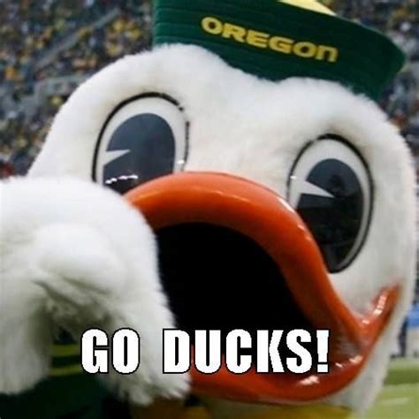 Go Ducks With Images Oregon Ducks Football Ducks Football Duck
