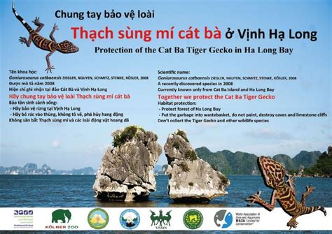 Protection Of The Cat Ba Tiger Image Eurekalert Science News Releases