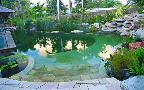 Natural Swimming Pools Intheswim Pool Blog