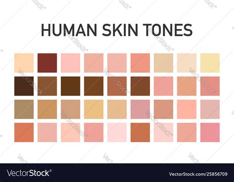 Skin Tone Color Chart Human Skin Texture Color Infographic Palette My