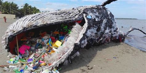 Sering terdengar hewan laut yang mati dan di dalam perutnya ditemukan plastik. Kolaborasi Pendanaan Guna Atasi Sampah Plastik di Laut ...