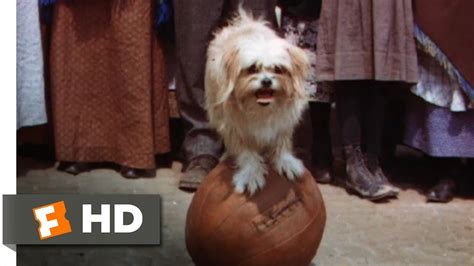 Lassie Come Home 710 Movie Clip The Tootsie And Lassie Show 1943