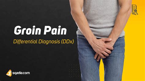 Groin Pain Differential Diagnosis Ddx