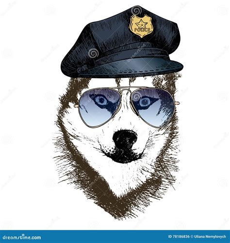 Vector Close Up Portrait Of Police Dog Siberian Husky Wearing The Peak