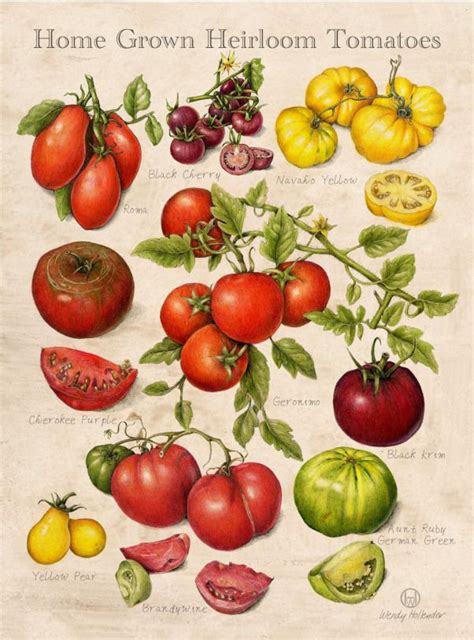 Heirloom Tomatoes Print By Wendy Hollender Planting Planting