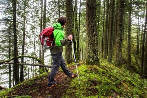A Man Hiking Alone In Forest On A Mossy Ridge Stock Photo Dissolve