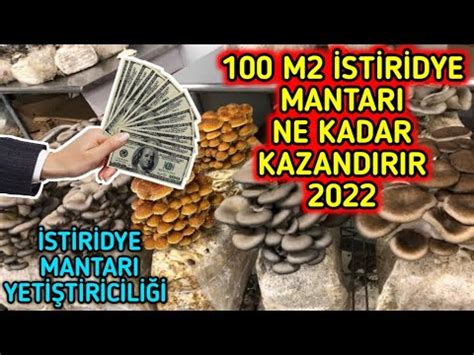 M St R Dye Mantari Ne Kadar Kazandirir Karli Mi Kazan