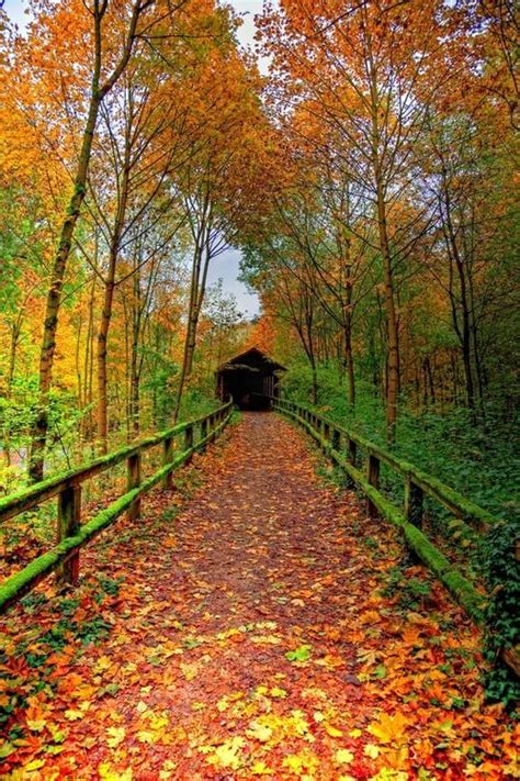 Covered Bridge In Autumn Covered Bridges Nature Scenery