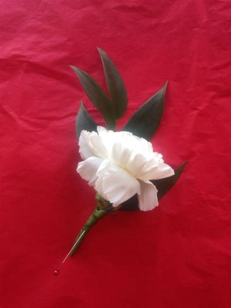 Simple Carnation Buttonhole Wedding Flowers Carnations Boutonniere
