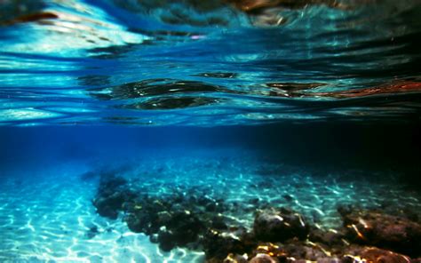 Underwater Backgrounds Free Download | PixelsTalk.Net