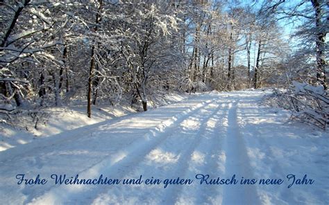 We did not find results for: Winterbilder Tiere Als Hintergrundbild : Winterbilder ...