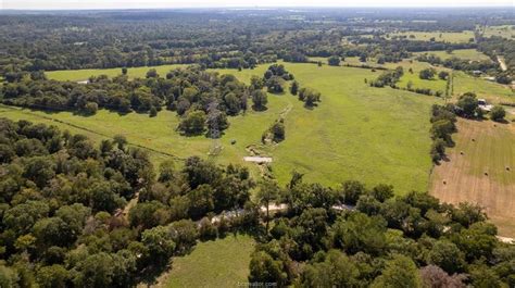 Bedias Grimes County Tx Undeveloped Land Horse Property For Sale