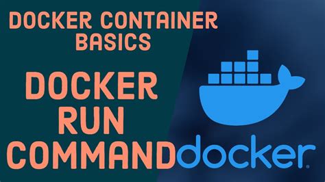 Docker Container Basics How To Use Docker Run Command