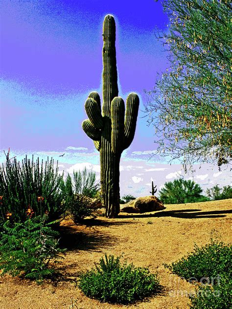 Arizona Cactus Photograph By Larry Oskin